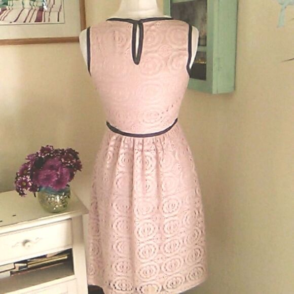 En Focus Studio Lace Dress - Picture 5 of 9